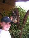 Ruby with a koala